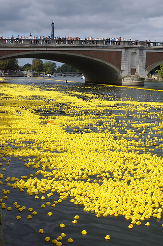 You are currently viewing Day 082 – Yellow Flower Boats for the Goddess